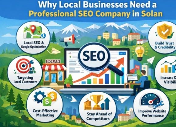 Why Local Businesses Need a Professional SEO Company in Solan